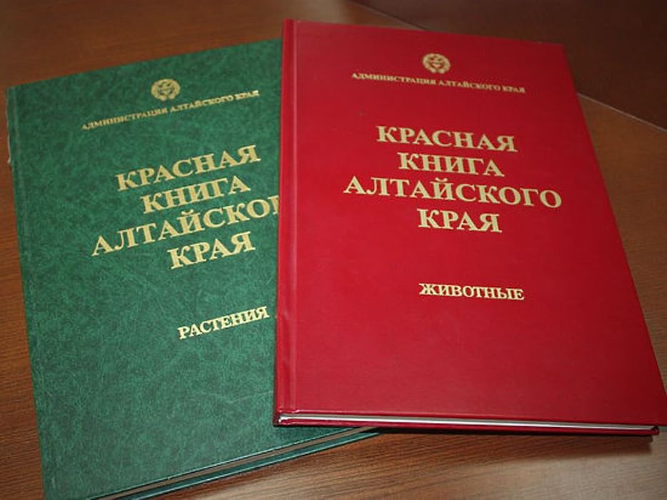 Красная книга Алтайского края.